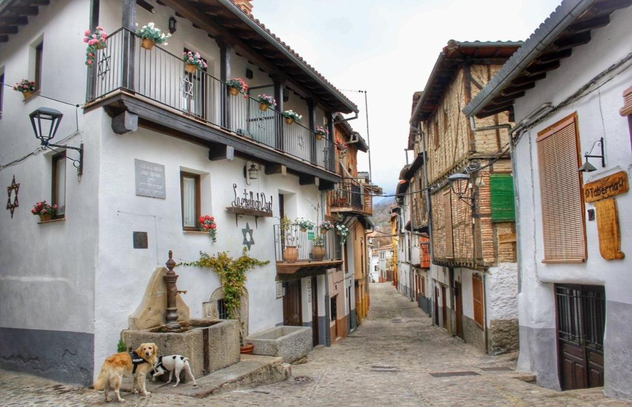 Casa Rural Exedra 3 Estrellas Carcaboso Ngoại thất bức ảnh